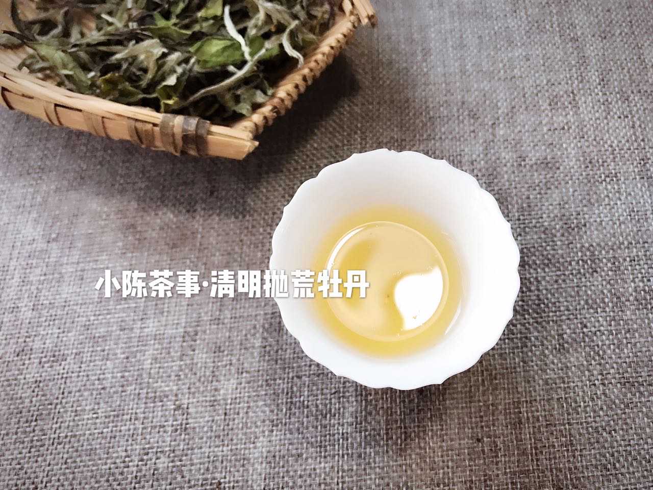 只要8个关键字，轻松解读什么是白茶，简单又实用！