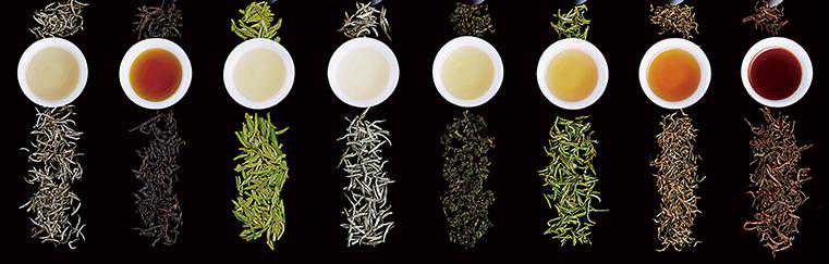 红茶绿茶白茶黑茶普洱乌龙……哪种才是减肥小能手？