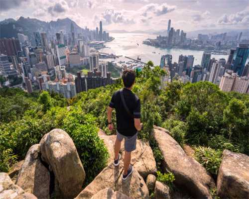茶叶介绍——云南红茶